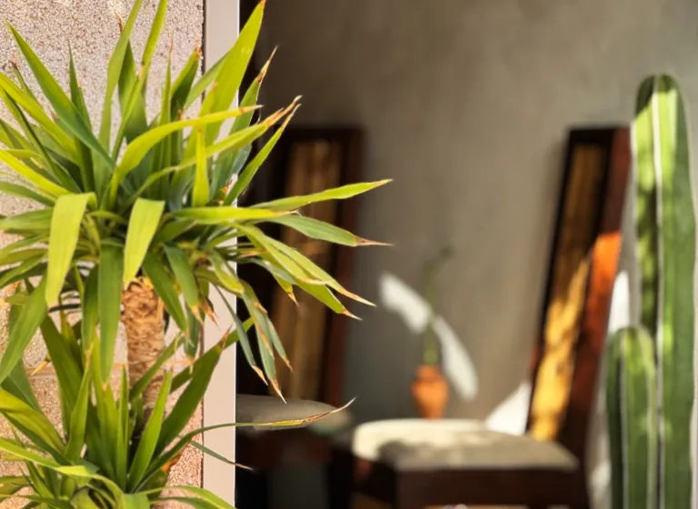 Entrance of Massage Services Costa Blanca wellness center offering professional massage and relaxation treatments