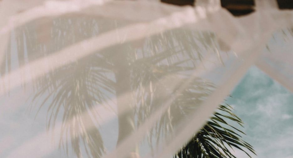 resized-palmeras